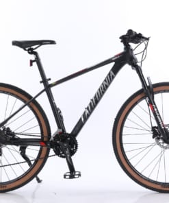 Xe đạp thể thao MTB 750cc